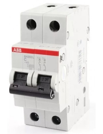 Переделанный Автоматический Выключатель ABB SH202 4.5kA на два полюса 220В